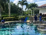 Paramount Pool Services Company photo 2