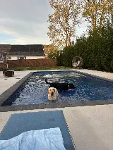 Premier Pools & Spas photo 5