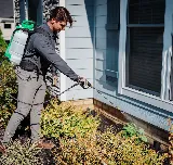 Aruza Pest Control photo 2