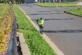 Complete Grounds Commercial Landscaping photo 5