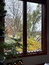 American Window Cleaning & Exterior Services photo 4