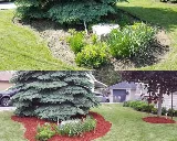 4ever Green Landscaping Services Ltd photo 6