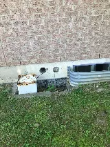 Pestend Pest Control Vaughan photo 4