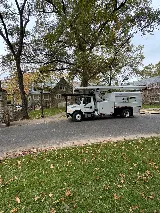 Greenkeeper Tree and Lawn photo 8