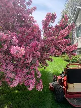 Bluegrass Outdoor Services LLC photo 4