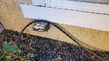 Cal Termite & Pest Control photo 6