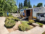Economy Movers photo 2