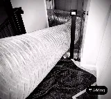 A-1 Bed Bug Heat Remediation
