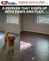 Carpetland USA photo 3