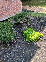 VIP Landscaping photo 6