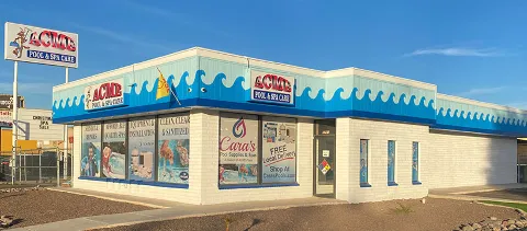 Acme Pool & Spa Care in Yuma