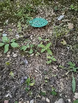 Waynes Pest Control photo 8