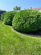M&M Landscaping & Lawn Care