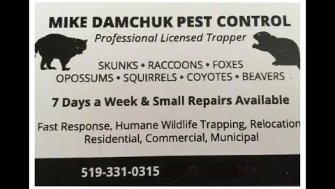 Mike Damchuk Pest Control in Sarnia