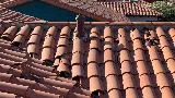 R4 Roofing