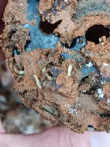 Truly Nolen Pest & Termite Control - Winston Salem photo 8
