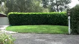 Pro Landscaping of Chula Vista photo 5
