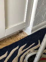 On Demand Pest Control photo 8
