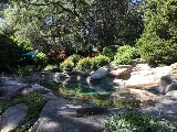 Rocklin Pool Service