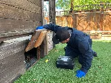 Banner Pest Services photo 4