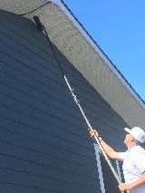 Vernon Spider Control photo 4