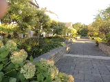 Green Ventures Landscape Care Limited photo 6