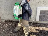 Green Home Pest Control photo 4