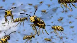 Truly Nolen Pest Control & Exterminators Halifax photo 6