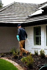 NEVER PESTS PEST CONTROL photo 5