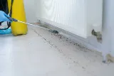 Bend Pest Control Precision photo 7