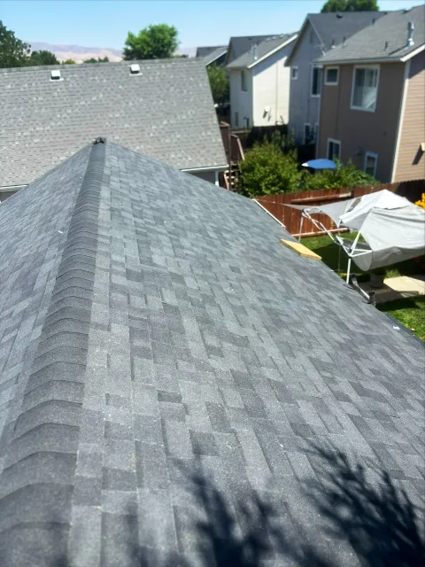 Boise Roof photo 1