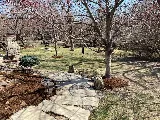 Cutting Edge Lawn & Landscape photo 5
