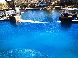 Amarillo Custom Pools photo 4