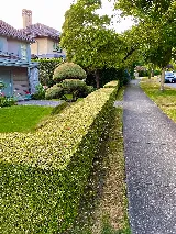 Blossom Landscaping photo 9