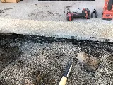 Acme Pest Solutions photo 8