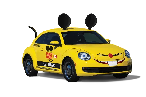 Truly Nolen Pest Control & Exterminators Waterloo in Waterloo