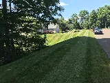 Cesar's Lawn Maintenance and Masonry photo 5