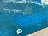 Parrot Pool Service photo 7