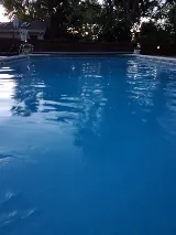 Tony's Services Inc./Tony's Pool Service photo 6