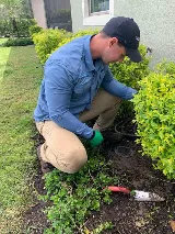 Prodigy Pest Solutions photo 5