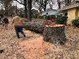 Groundmaster Services LLC photo 6