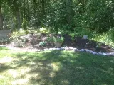 Springfield Lawn and Landscape photo 3