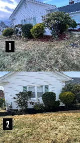 CMG Landscaping photo 3