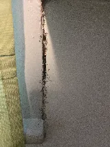 Pointe Pest Control - Redmond photo 7
