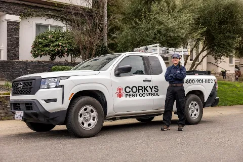 Corky's Pest Control photo 1