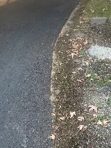 Insight Pest Solutions - Montréal, QC photo 5