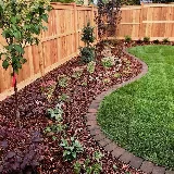 Berkeley Landscape Design photo 5