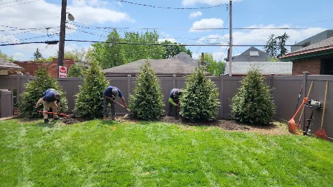 TITAN LANDSCAPE AND TREE SERVICES LLC photo 1