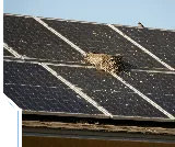 Solar Repair and Maintenance photo 8