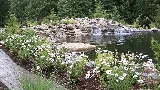 Woody's Custom Landscaping, Inc. photo 8